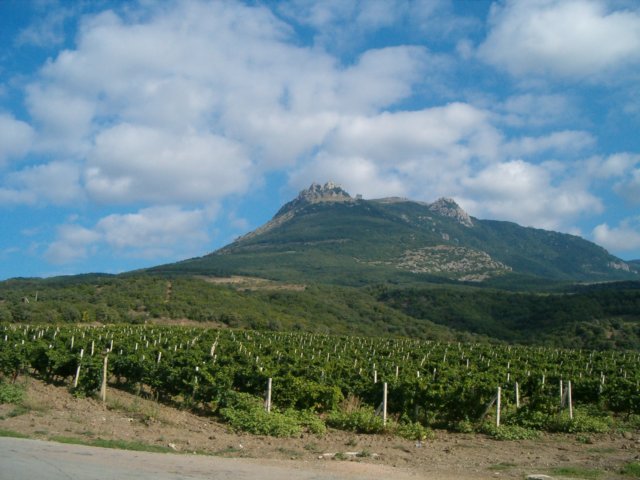 Photograph
